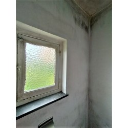 Plexipaint Soft Plexipaint Soft